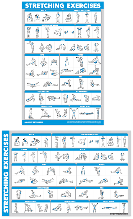 Stretching Exercises Poster