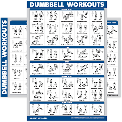 Dumbbell Workouts